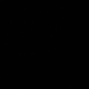 Meet your Posher, Isaiah